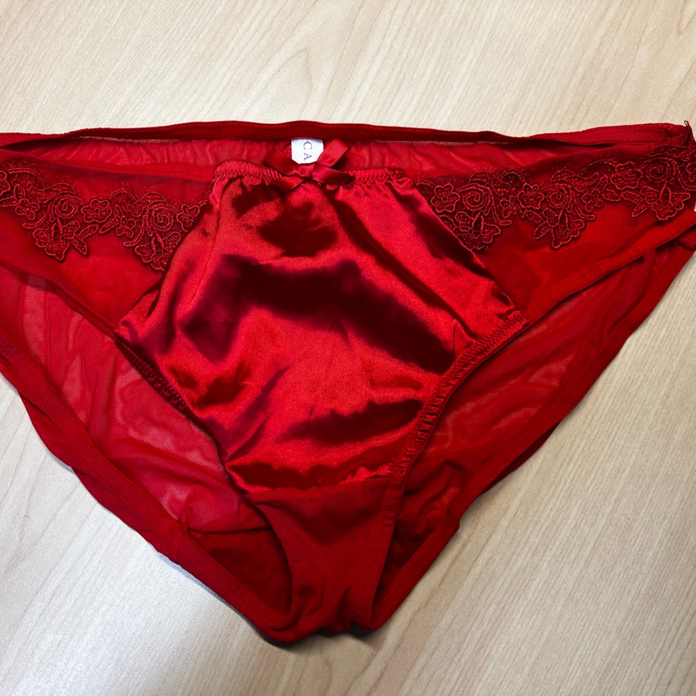 Red satin mesh panties